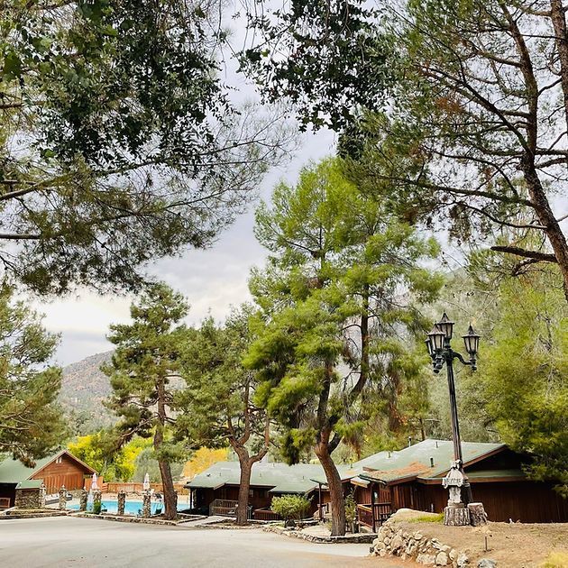 Green trees frame cabins and a pool on a cloudy day. A lamppost stands in the foreground.