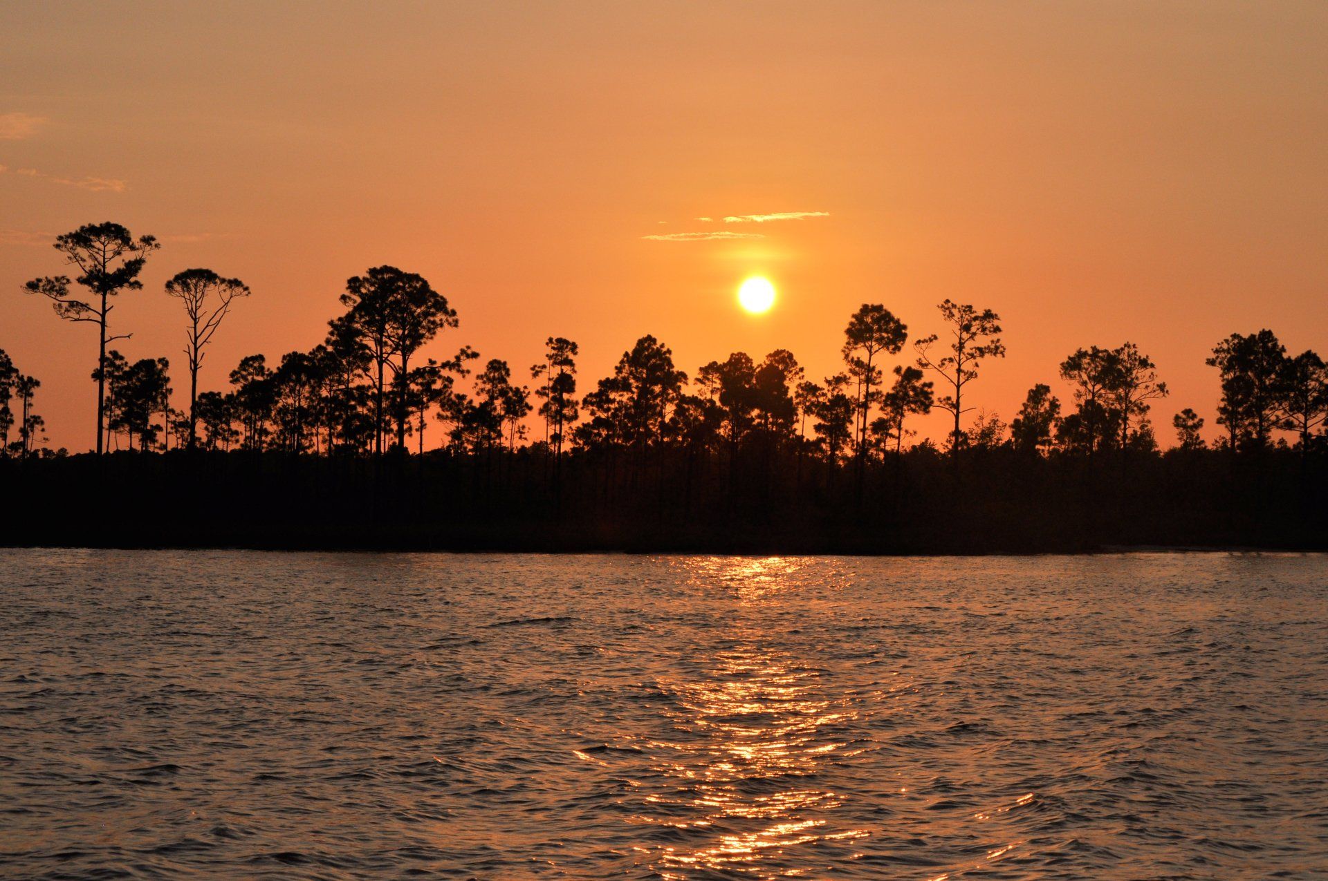 A sunset over a body of water with trees in the foreground