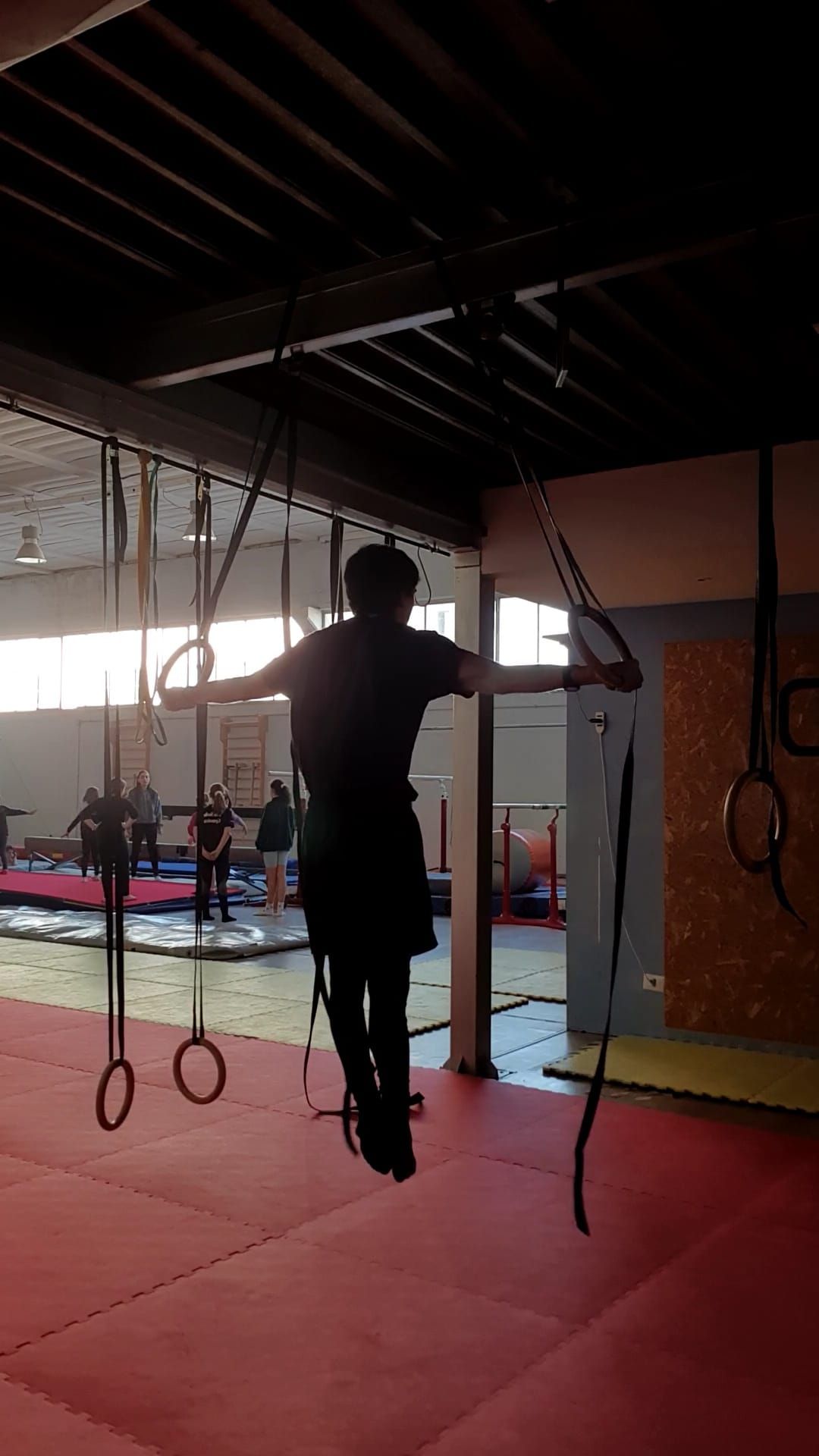 Croce agli anelli, iron cross, ginnastica artistica, calisthenics