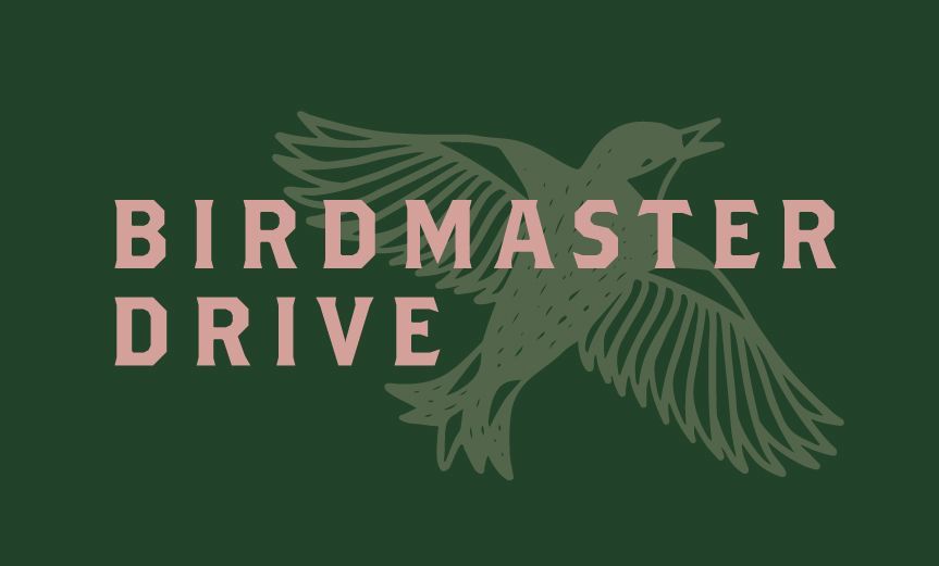 a logo for birdmaster drive with a bird on a green background