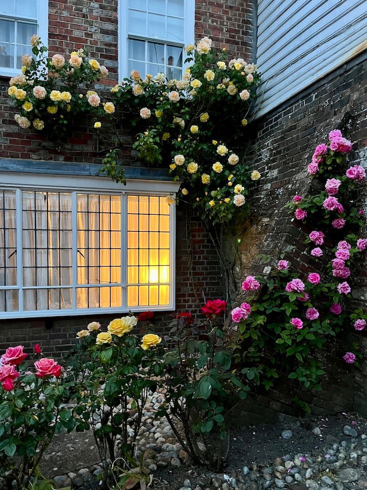Roses in Rye on Huron Tours' Gardens of Kent and Sussex tour
