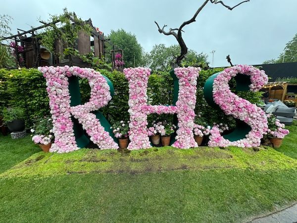 RHS Flower Display