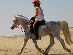 Back Riding - Animal Clinic in Lebanon, MO