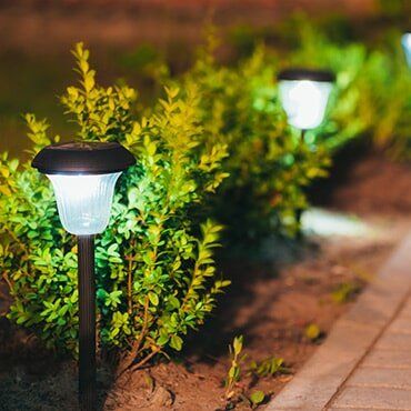 Plants And Lights — Flowery Branch, GA — All About Irrigation and Landscape Services Inc
