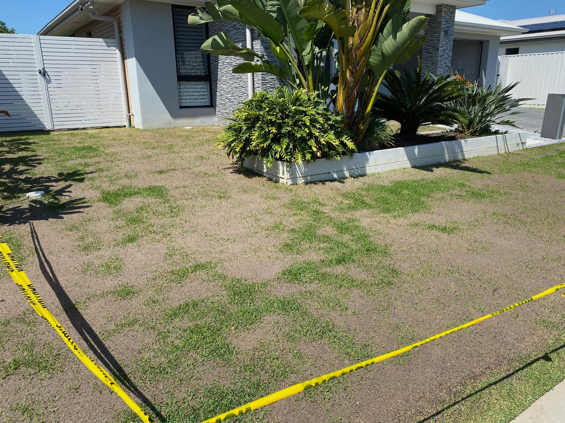Lawn Renovation Nirimba 4551