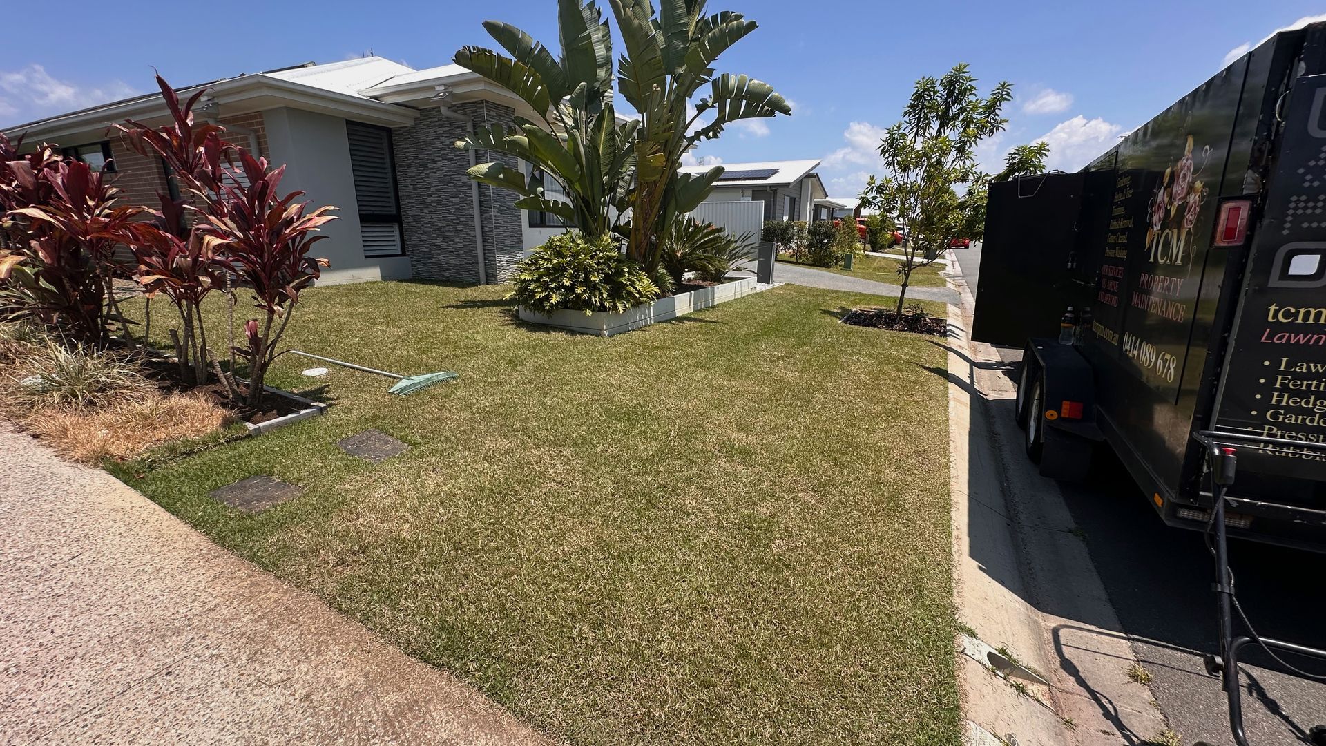 Lawn Envy Nirimba 4551