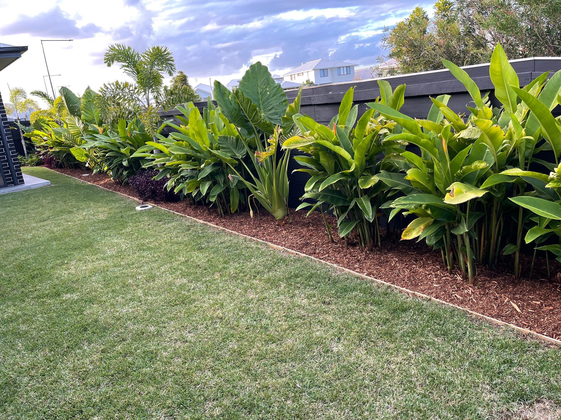 Mulch 4551