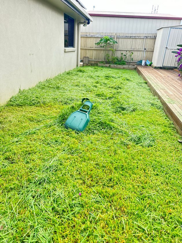 Overgrown Lawn Caloundra West 4551 