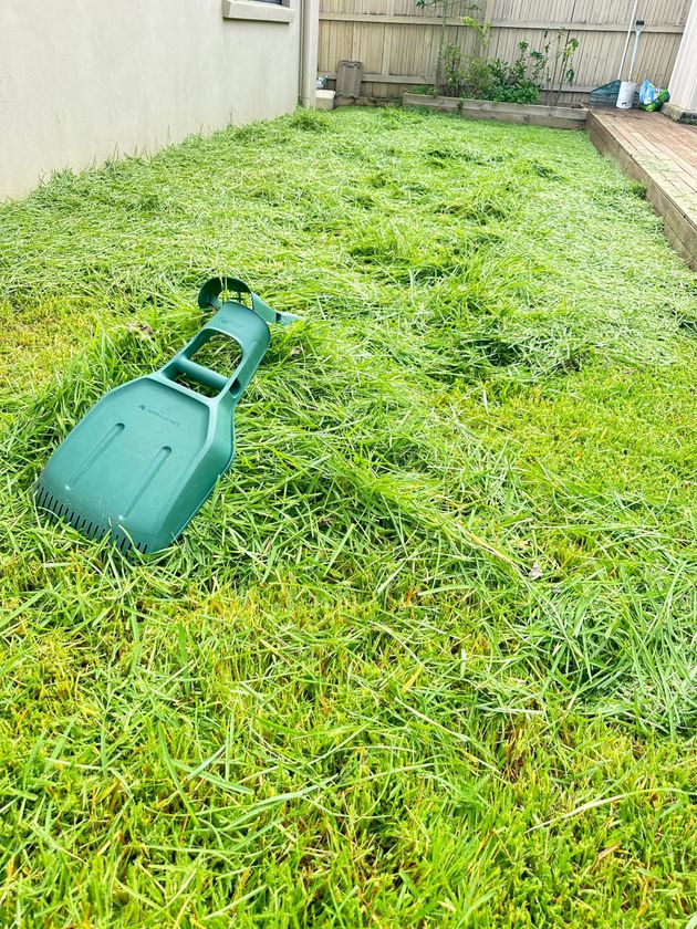 Overgrown Lawn Caloundra West 4551 