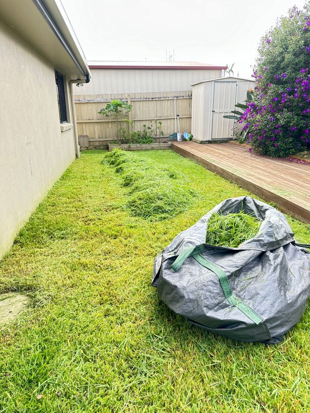 Overgrown Lawn Caloundra West 4551 