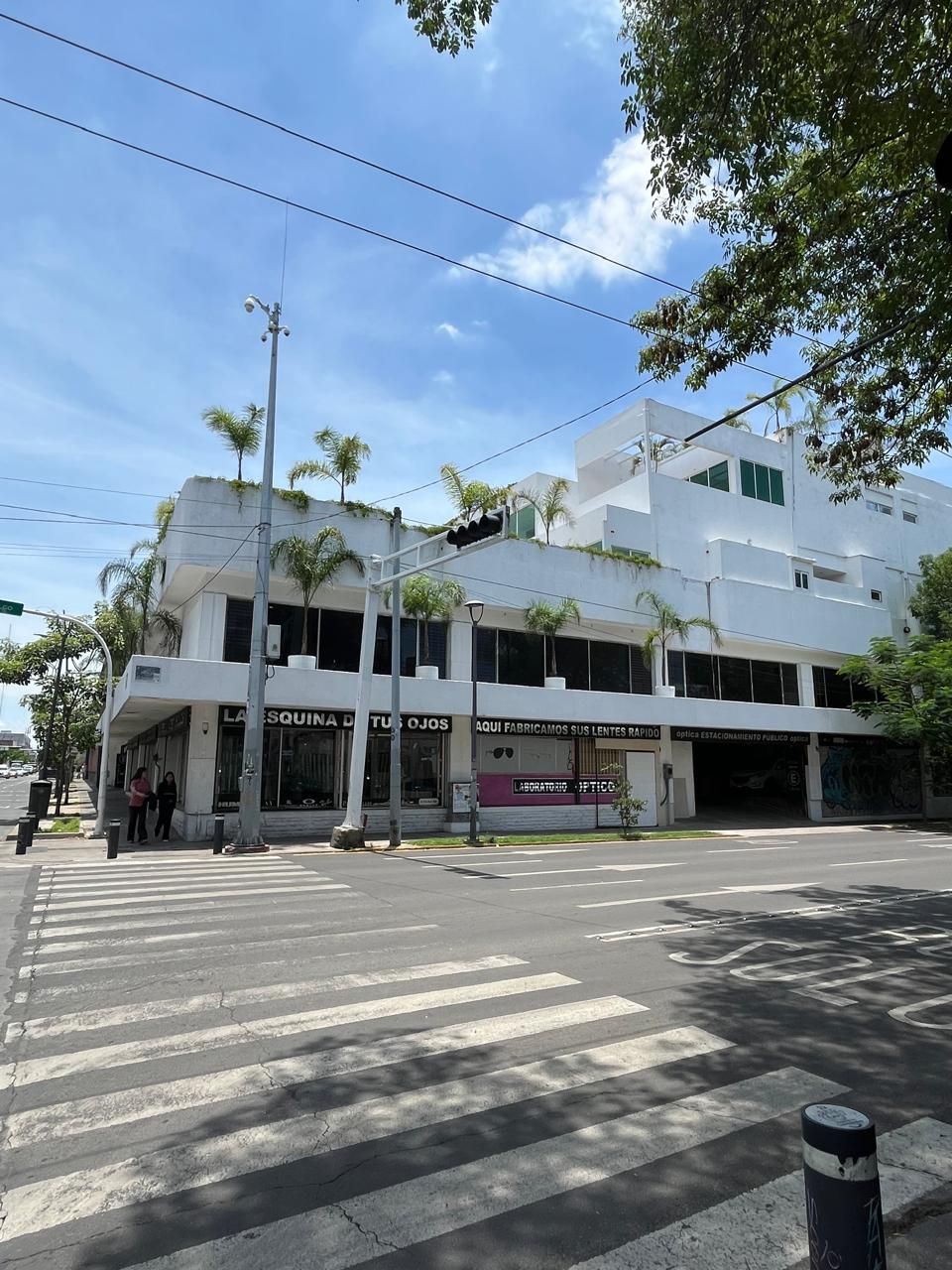 Edificio comercial blanco en un cruce peatonal, con amplios ventanales. Árboles verdes en el tejado, bajo un cielo azul.