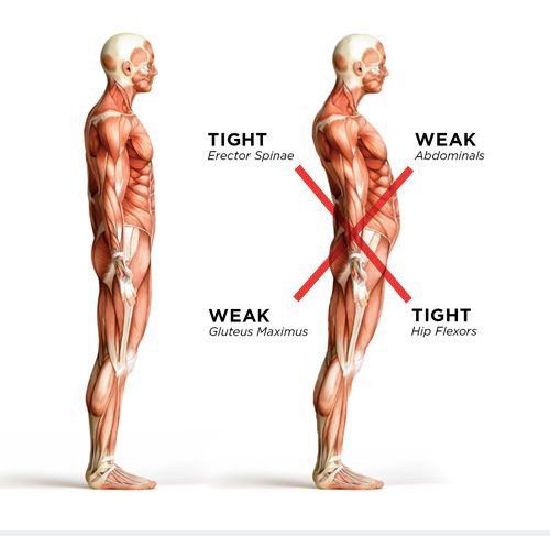 Weak 2024 abs posture