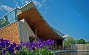 Modern building with curved wooden roof, purple irises in front, and bright blue sky.