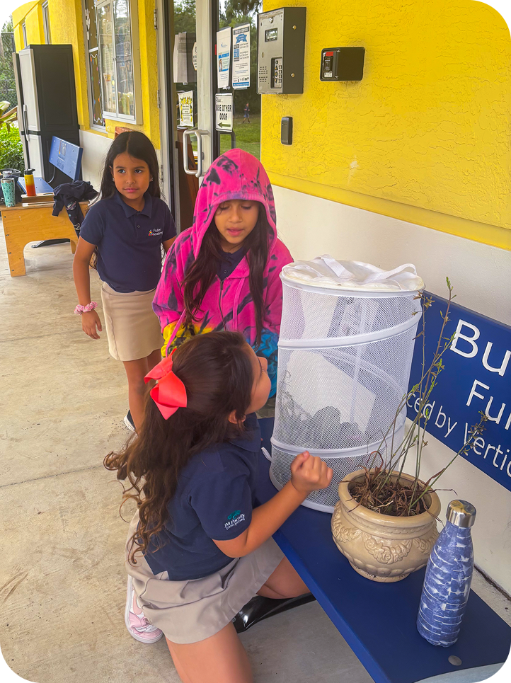 Three young girls are looking at a butterfly net outside of a building.