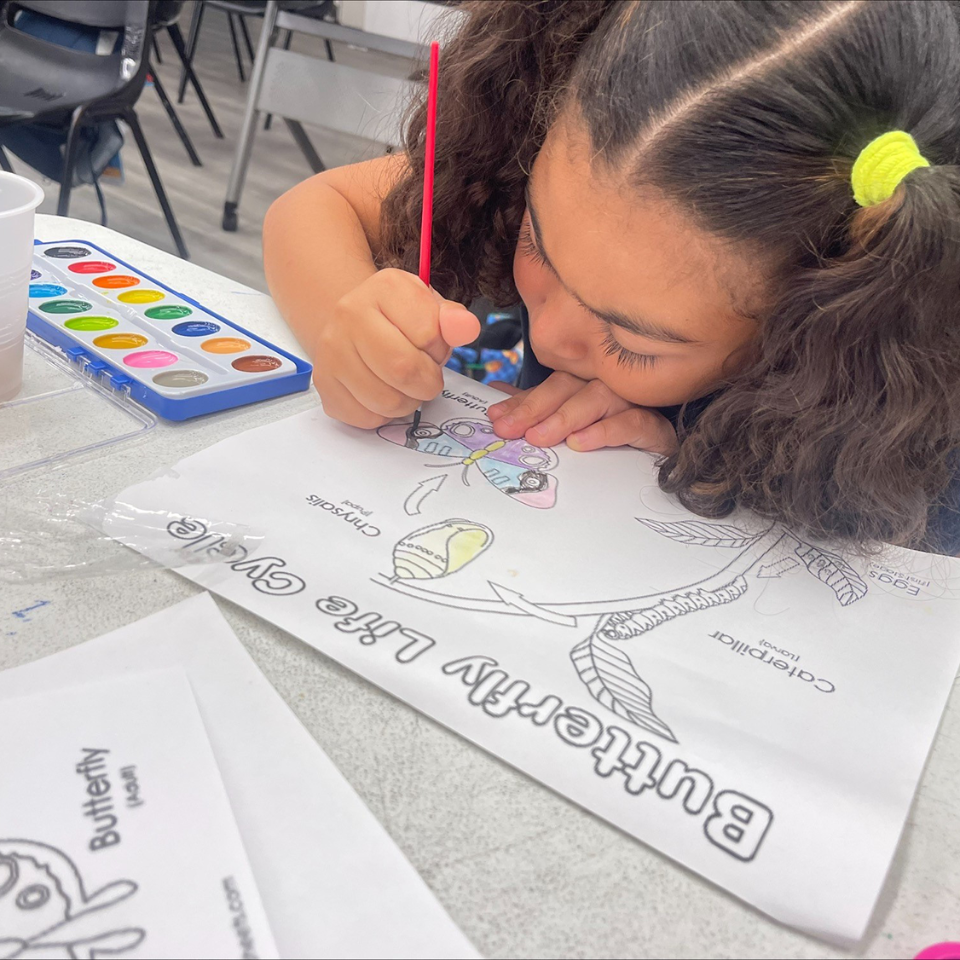A little girl is drawing a butterfly on a piece of paper that says butterfly life cycle