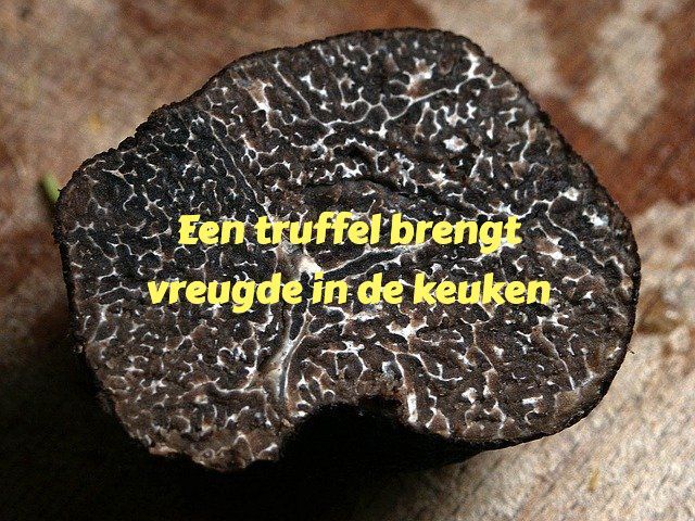Truffel truffels wintertruffel zomertruffel perigord  aquitaine dordogne provence Frankrijk  