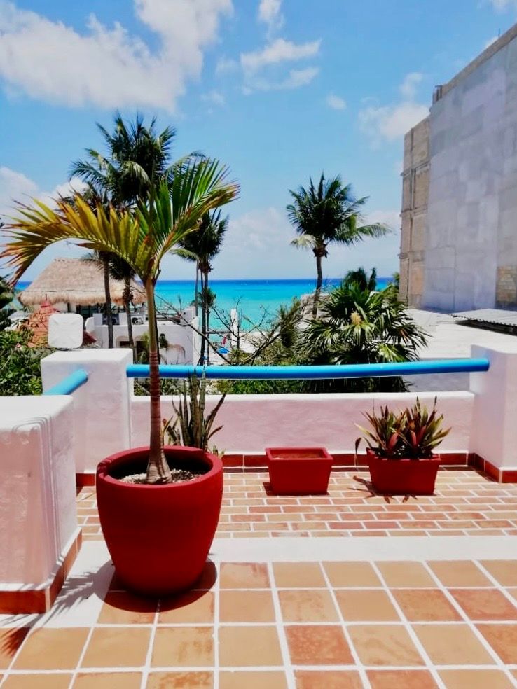 Una planta roja en maceta se encuentra en un balcón con vista al océano.