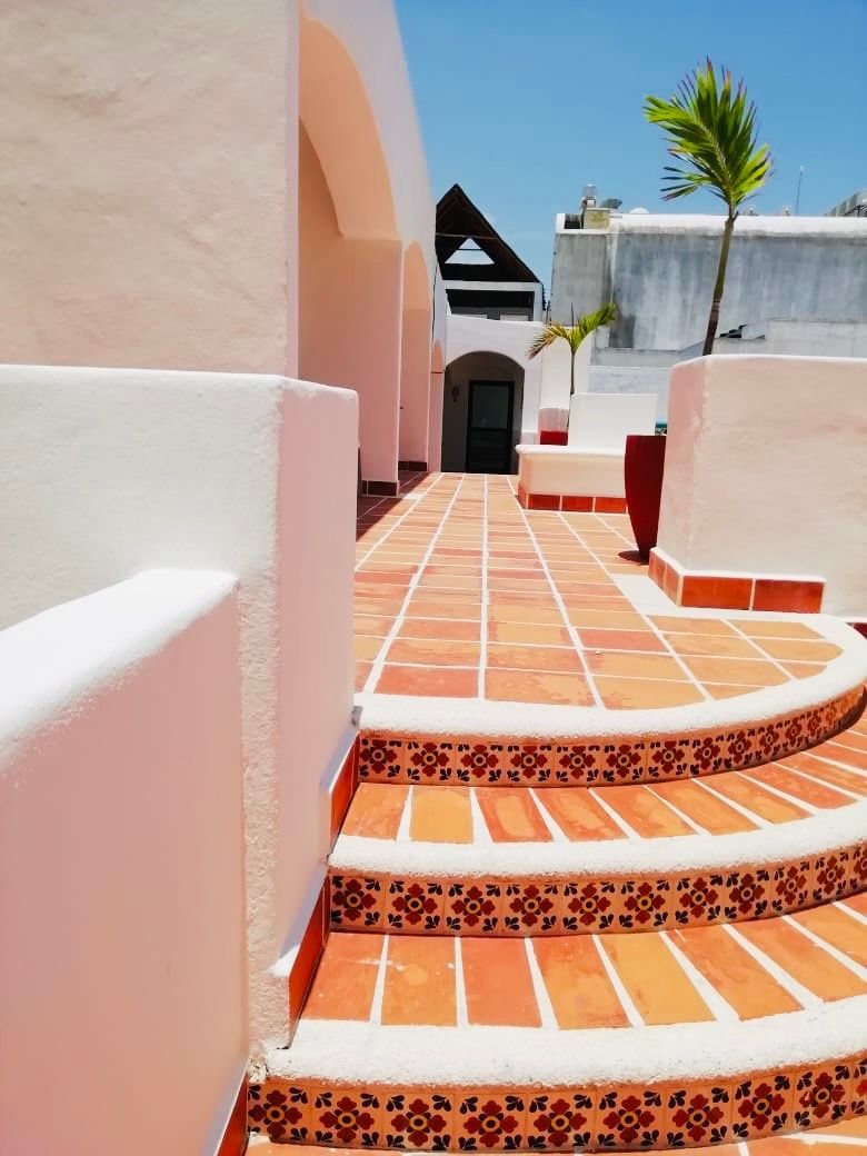 Un conjunto de escaleras que conducen a un edificio con una palmera al fondo.