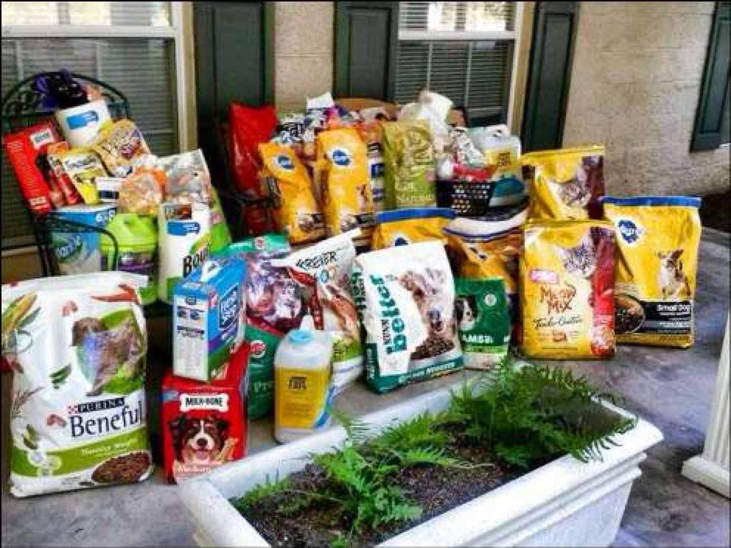 Pile of various dog and cat food bags and containers on a porch.