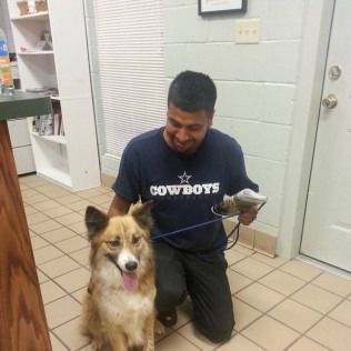 Man kneeling, smiling next to a dog at a vet clinic. Man holds clippers. Dog is tan and white.