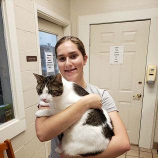 Woman holding a brown and white cat in a vet's office.
