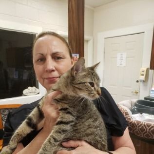 Woman holding a tabby cat inside a room with a white door and window.