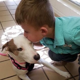 Boy kissing white and brown dog on the head, both indoors.