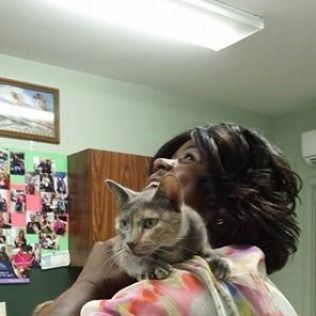 Woman holding a gray cat on her shoulder, looking up. Interior with light and bulletin board.