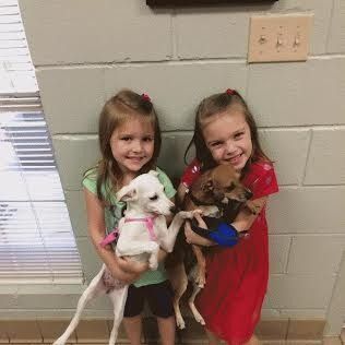 Two young girls holding small dogs, smiling in front of a window.