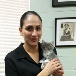 Woman holding a gray kitten in a room with blinds, a framed photo, and a wall of tiles.