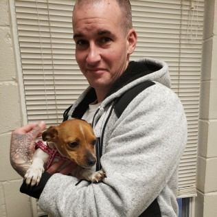 Man holding small brown and white dog; inside setting. Man in gray hoodie, dog in harness.