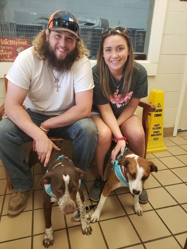 Couple with two dogs seated on a bench, smiling. Inside a building, dogs wearing harnesses.