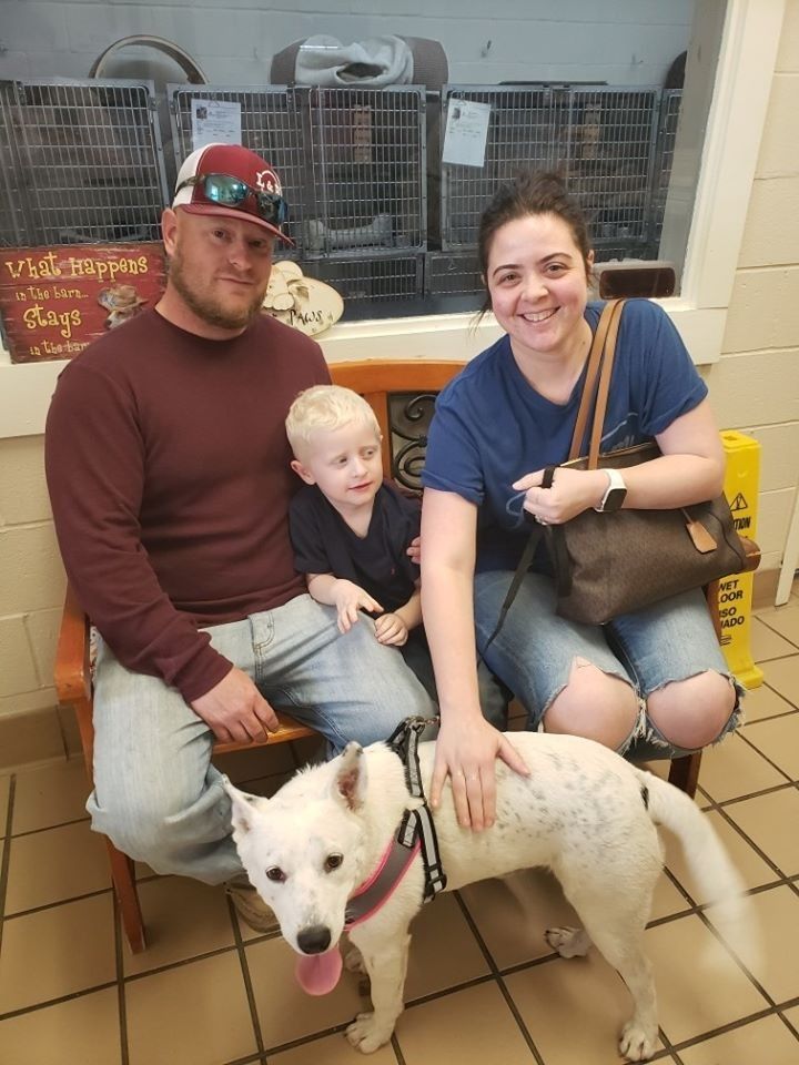 Family with a white dog at an animal shelter. Man, woman, child sit on bench, petting the dog.