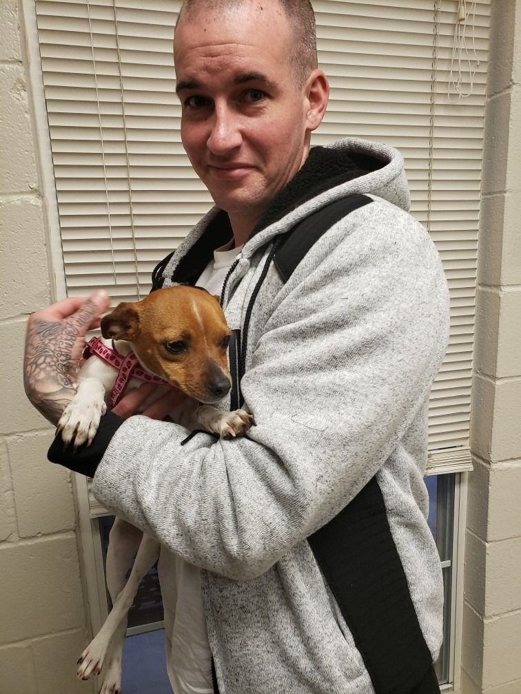 Man holding small dog wearing harness; gray zip-up hoodie, blinds in background.