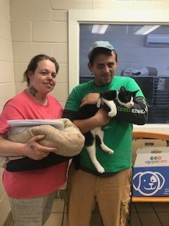 Woman holding blankets, man holding a black and white cat, smiling. They are inside a building.