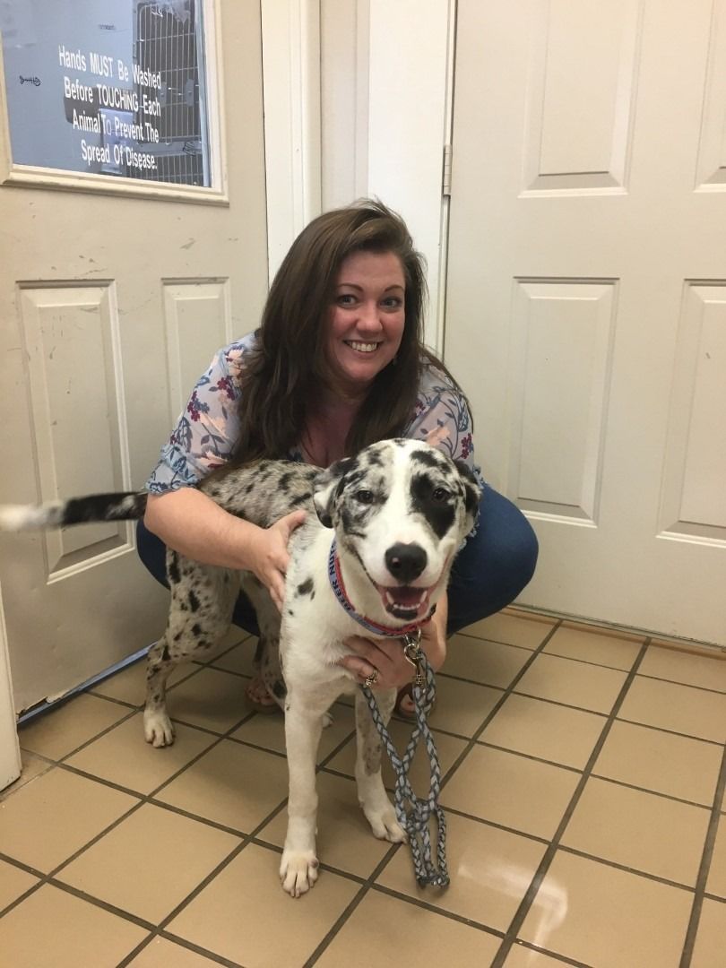 Woman smiles, crouched next to a spotted dog on tiled floor. Dog has a leash and collar.