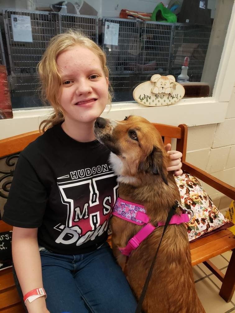 Girl petting a brown dog, both seated on a bench, inside a shelter. The dog is wearing a pink harness.