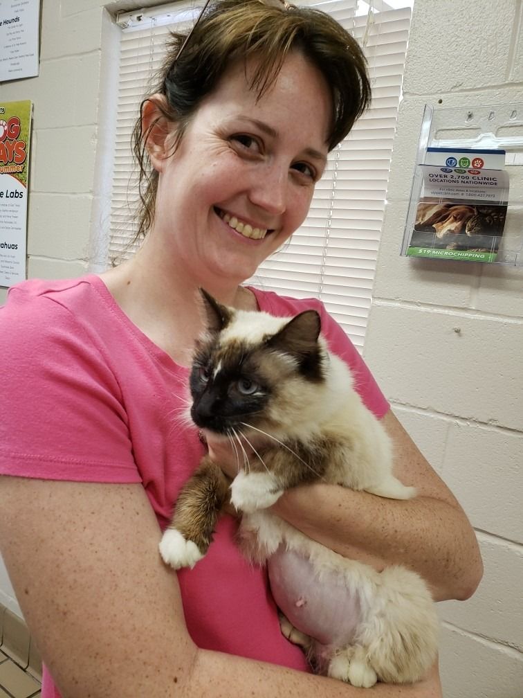 Woman holding a fluffy cat with a dark face and light fur, smiling inside.