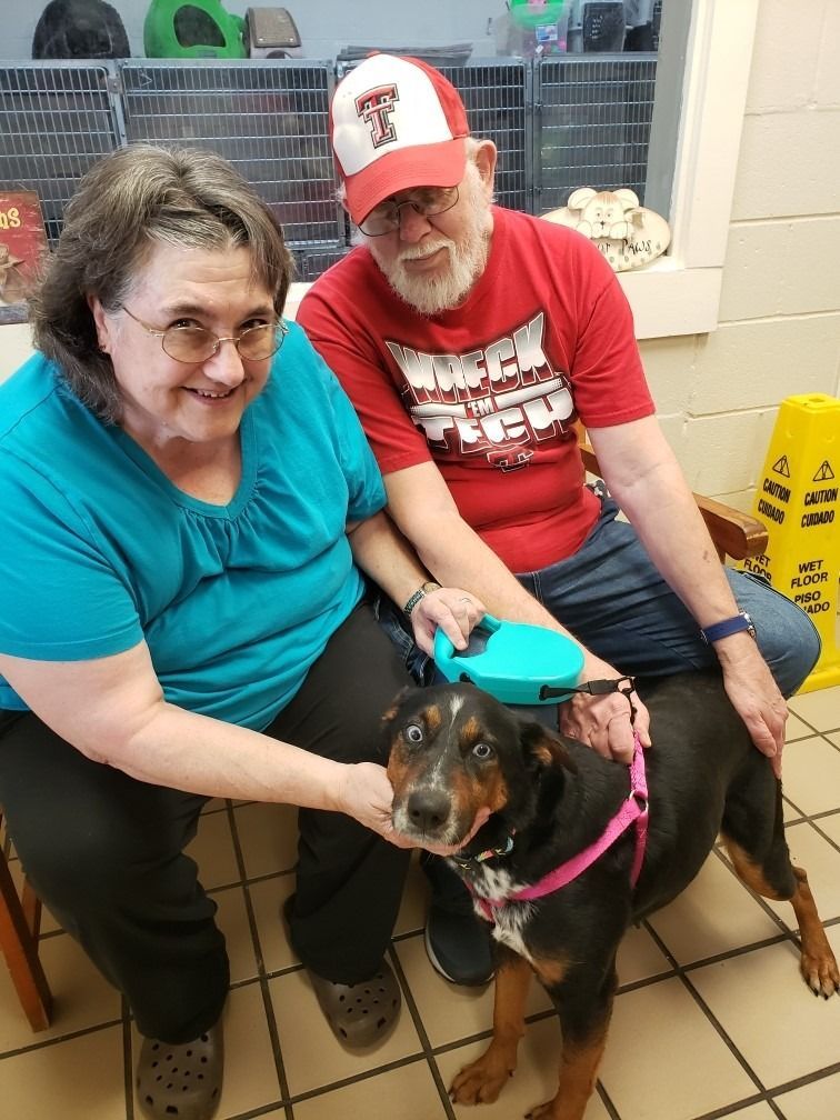 Two people petting a black and brown dog in a shelter setting. Man in red shirt and cap, woman in blue.