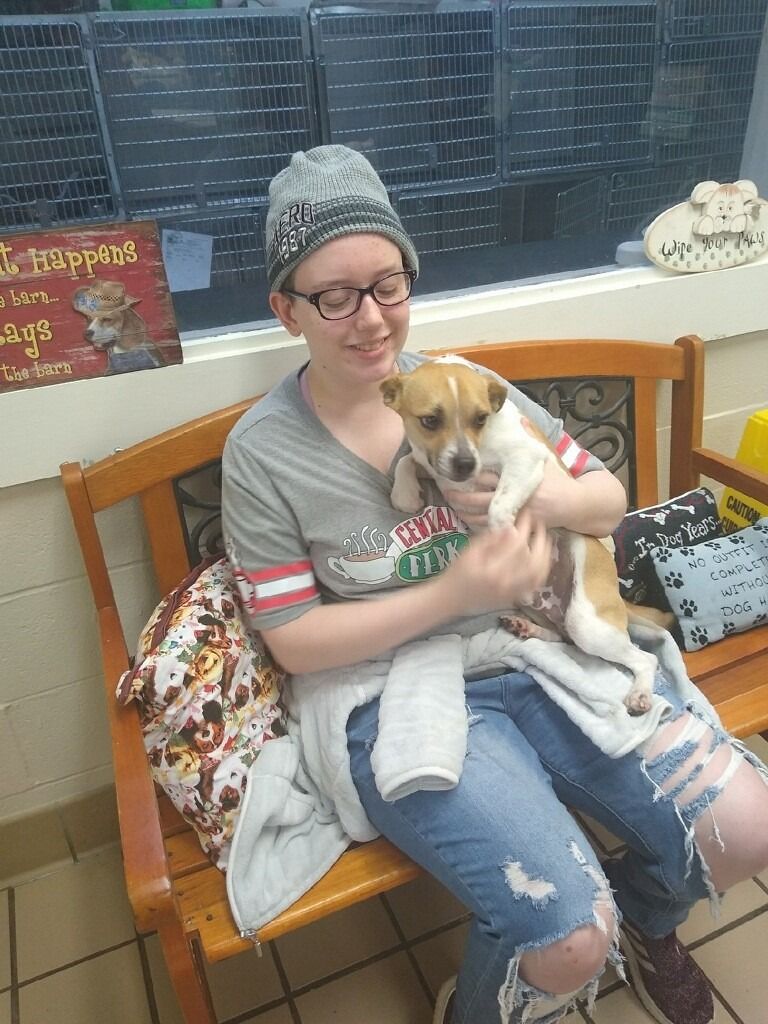 Woman with glasses and hat holding a small tan and white dog on a bench.