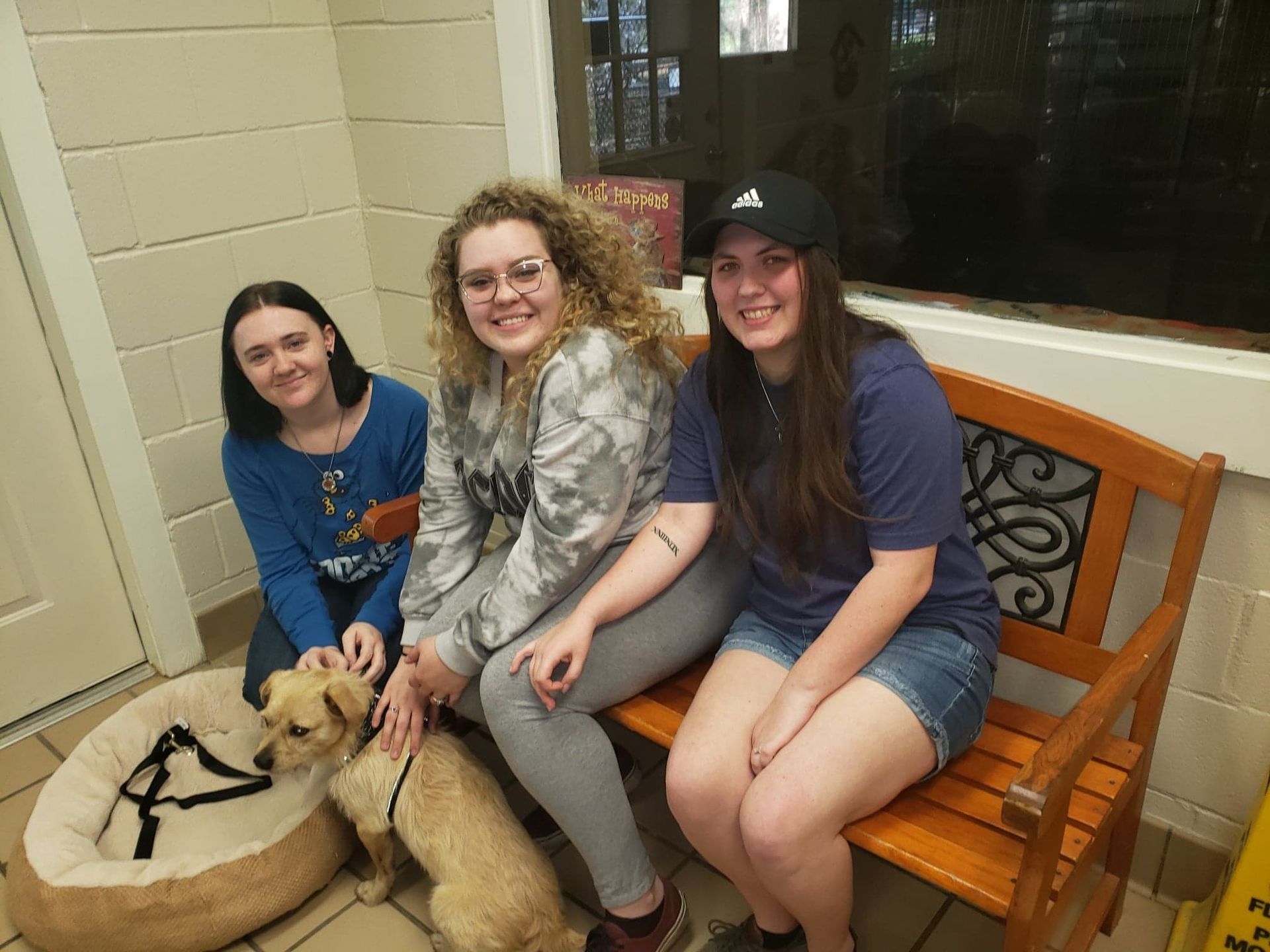 Three people sit with two dogs on a bench and floor inside a building.