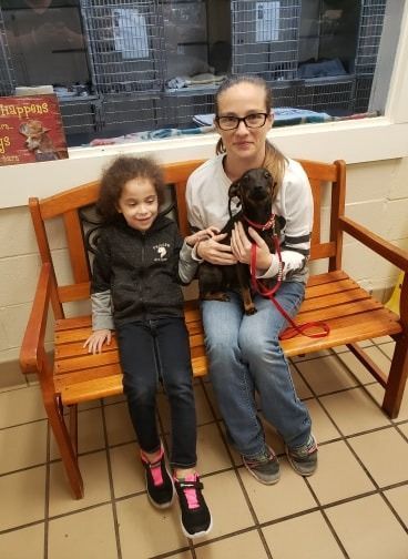 Woman and child sitting on a bench holding a puppy with a red leash at an animal shelter.