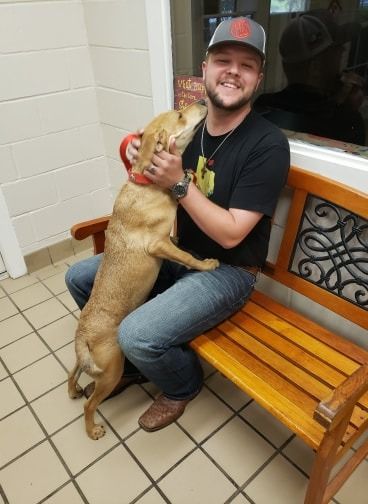 Man sits on bench, hugging a tan dog in a brightly lit room. The dog is kissing his face.
