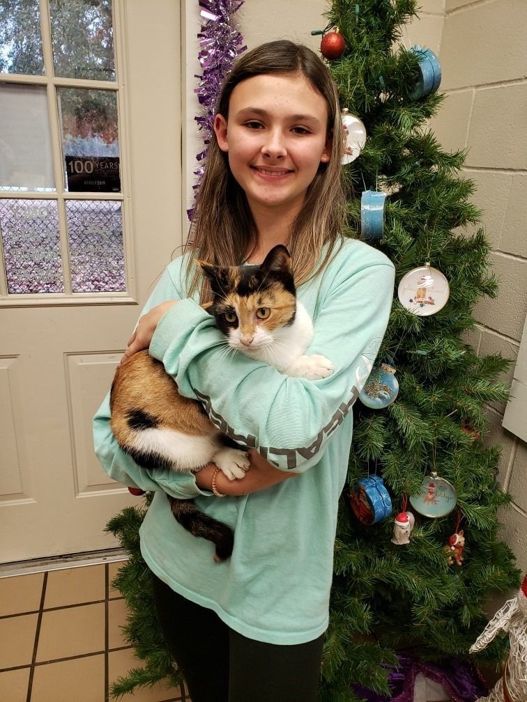 Girl holding a calico cat near a Christmas tree; both smiling indoors.