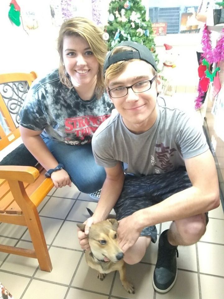 Two people and dog pose near Christmas decorations. Woman sits on bench, man crouches, petting dog.