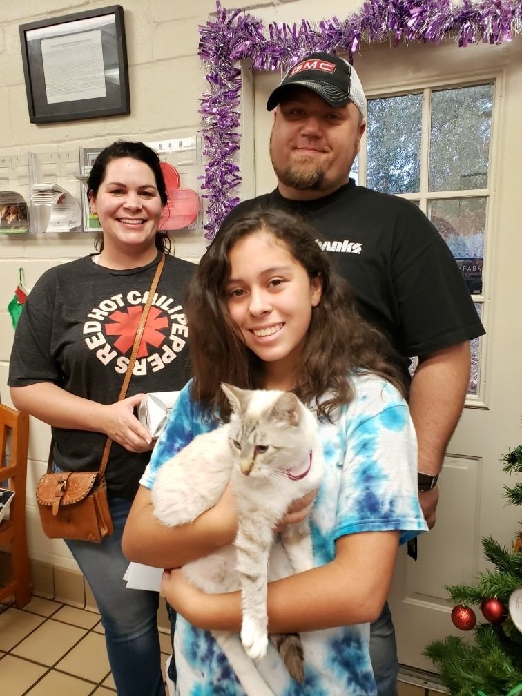 Family adopting a cat at a shelter. Woman holds a cat, and two adults smile nearby.