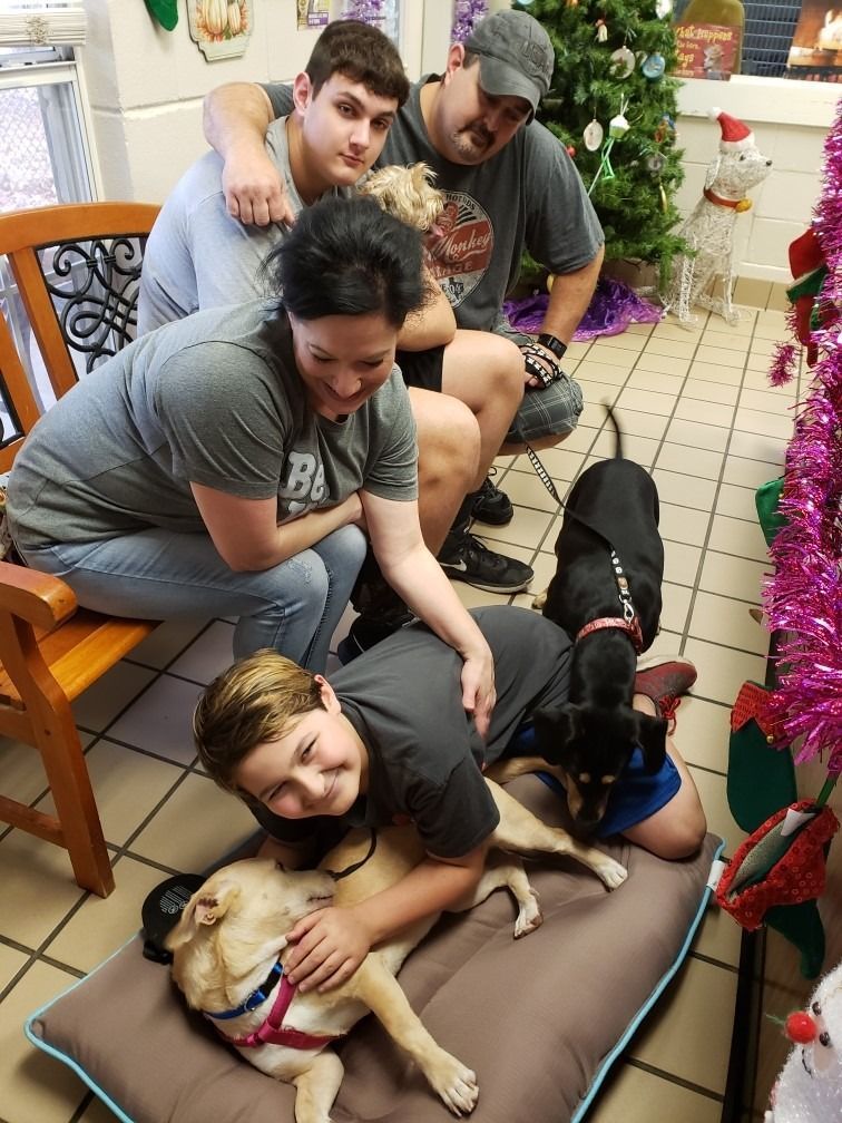 Family with two dogs in a decorated room. One child pets a tan dog. Another dog sits up.