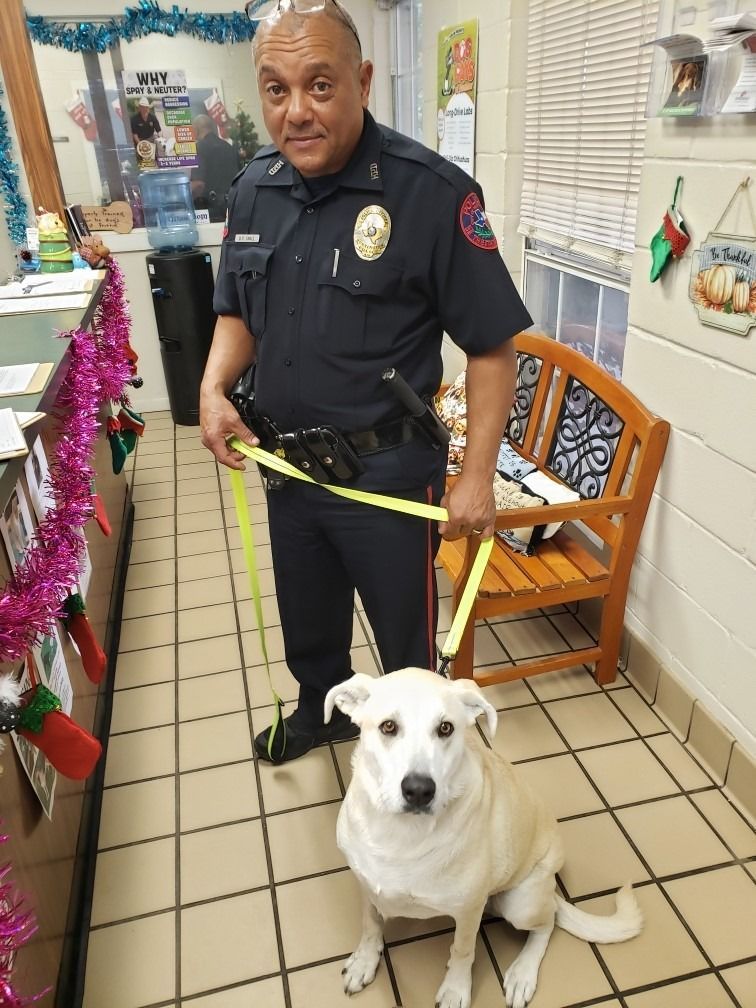 Police officer holding leash with a white dog sitting on a tiled floor near a bench; festive decor in background.