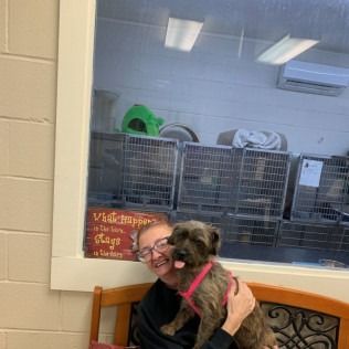 Woman with glasses holding a small dog in a shelter. Dog is brown, woman is smiling.