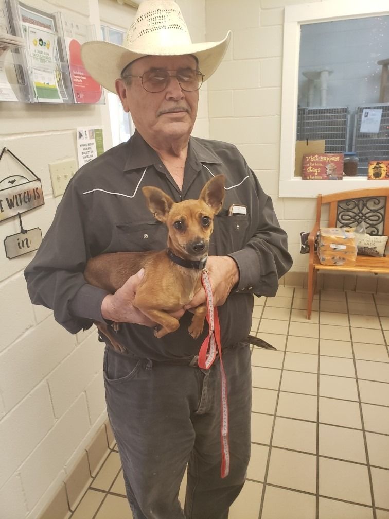 Man in cowboy hat holding a small brown dog indoors.